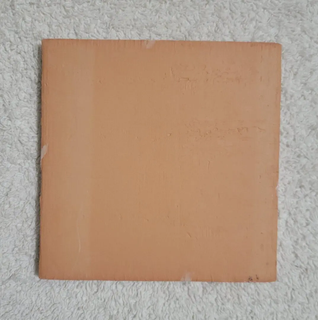 Plain square terracotta tile on carpet