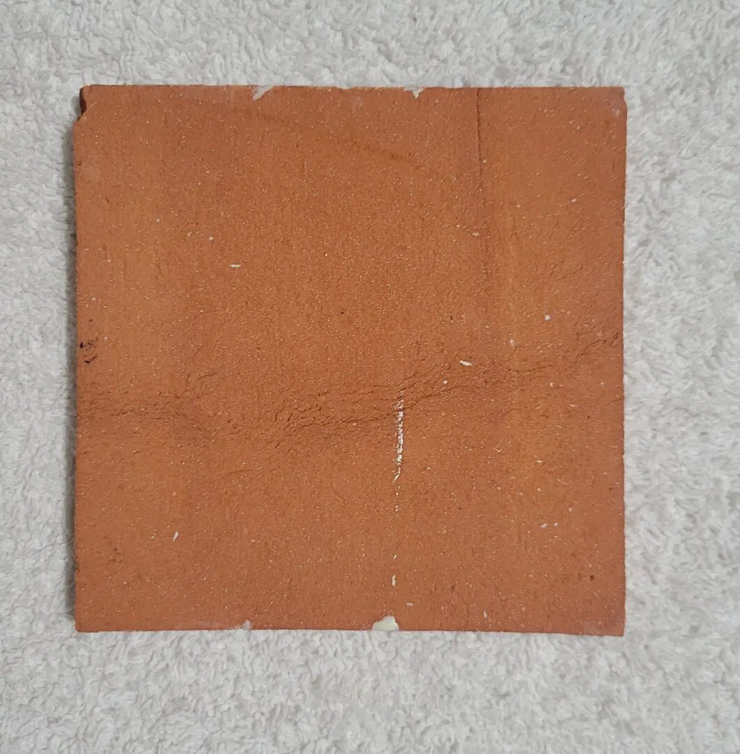 Square terracotta-colored tile on carpet.