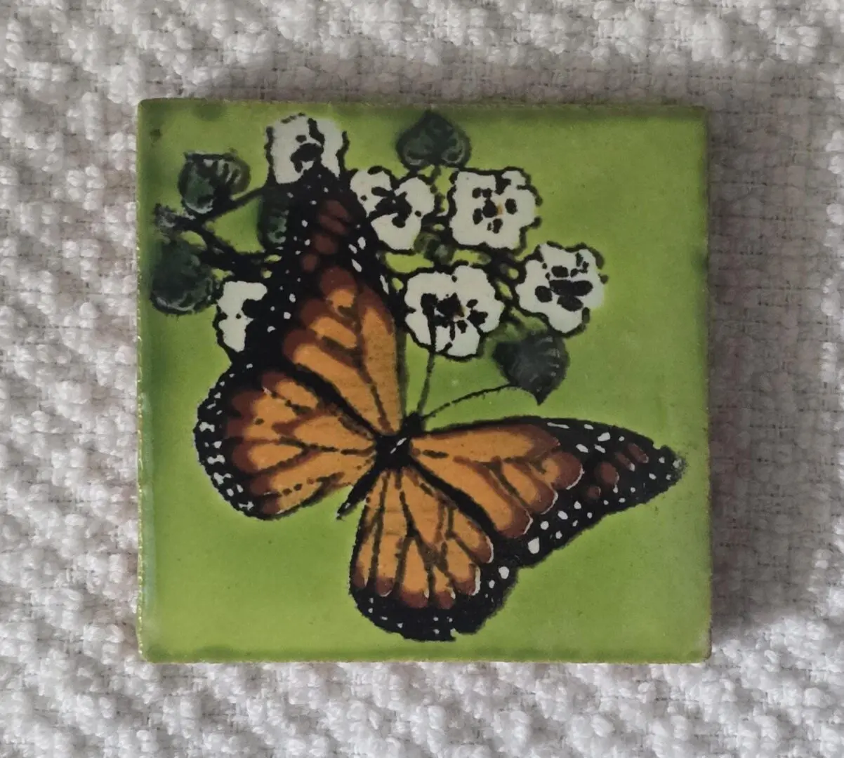 A vibrant monarch butterfly on white flowers against a green background.
