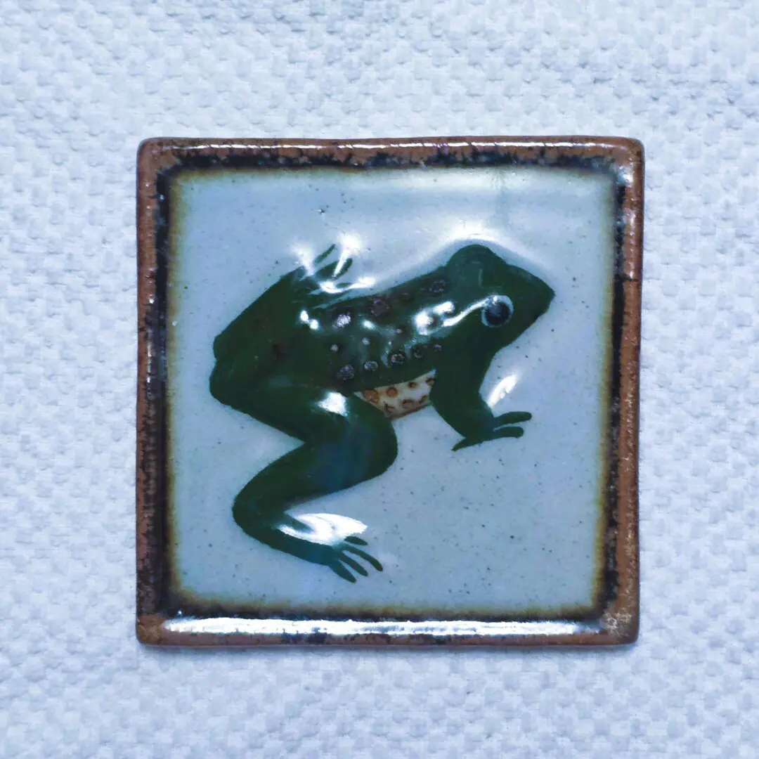 Square tile featuring a green frog illustration.